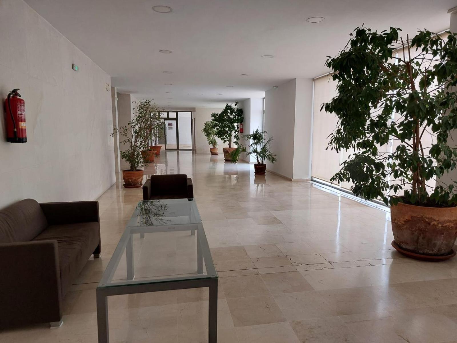 Apartment Estudio Con Piscina En Centro El Puerto El Puerto de Santa Maria